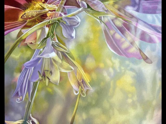 Oil on Canvas • 20